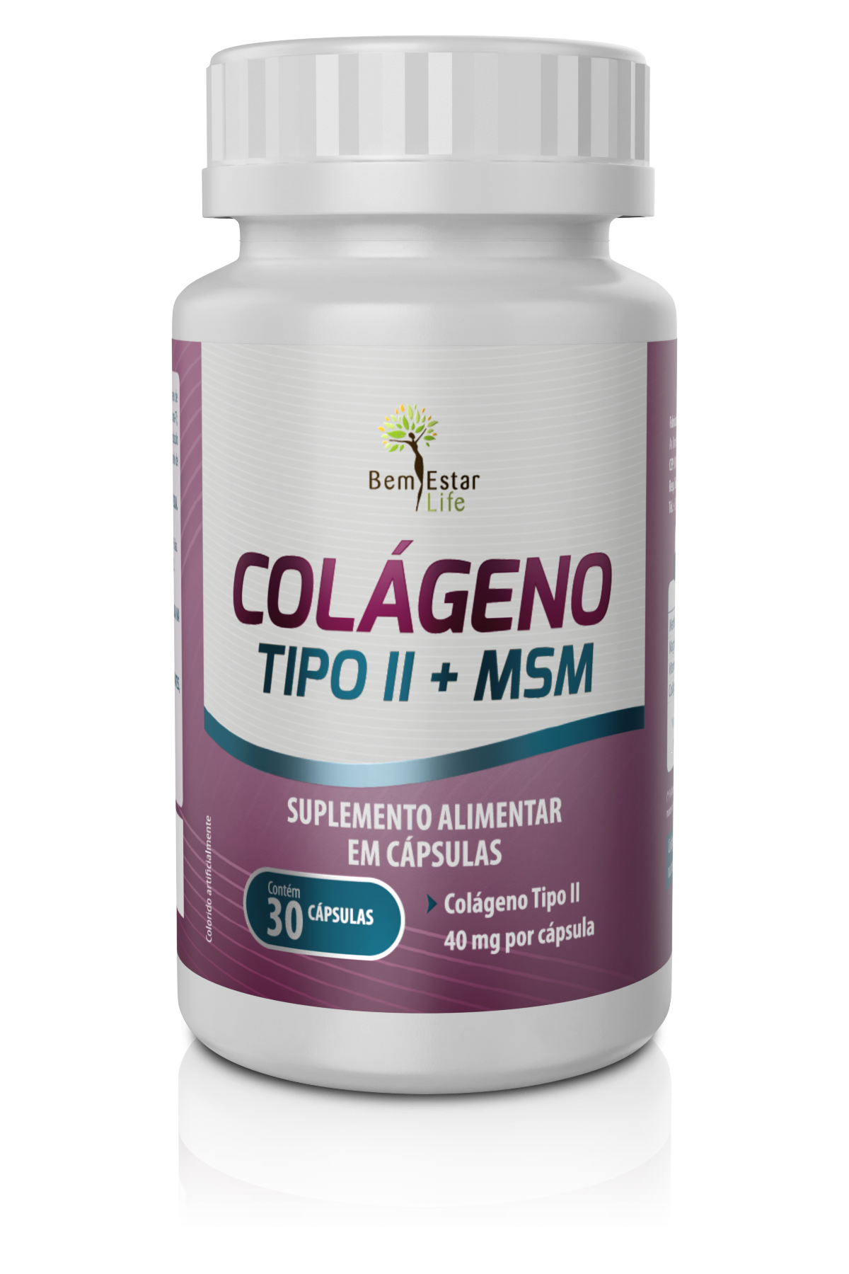 COLAGENO TIPO II + MSM